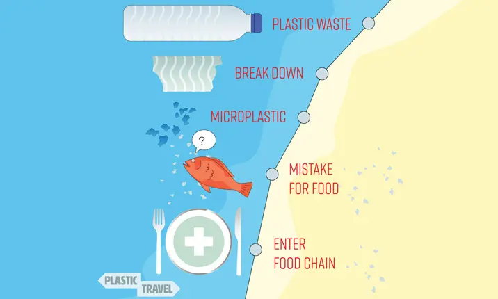 How are microplastics formed?