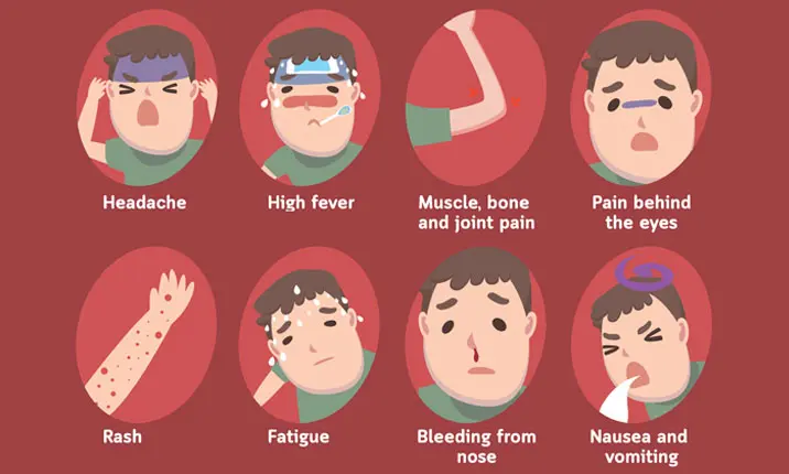 dengue hemorrhagic fever rash