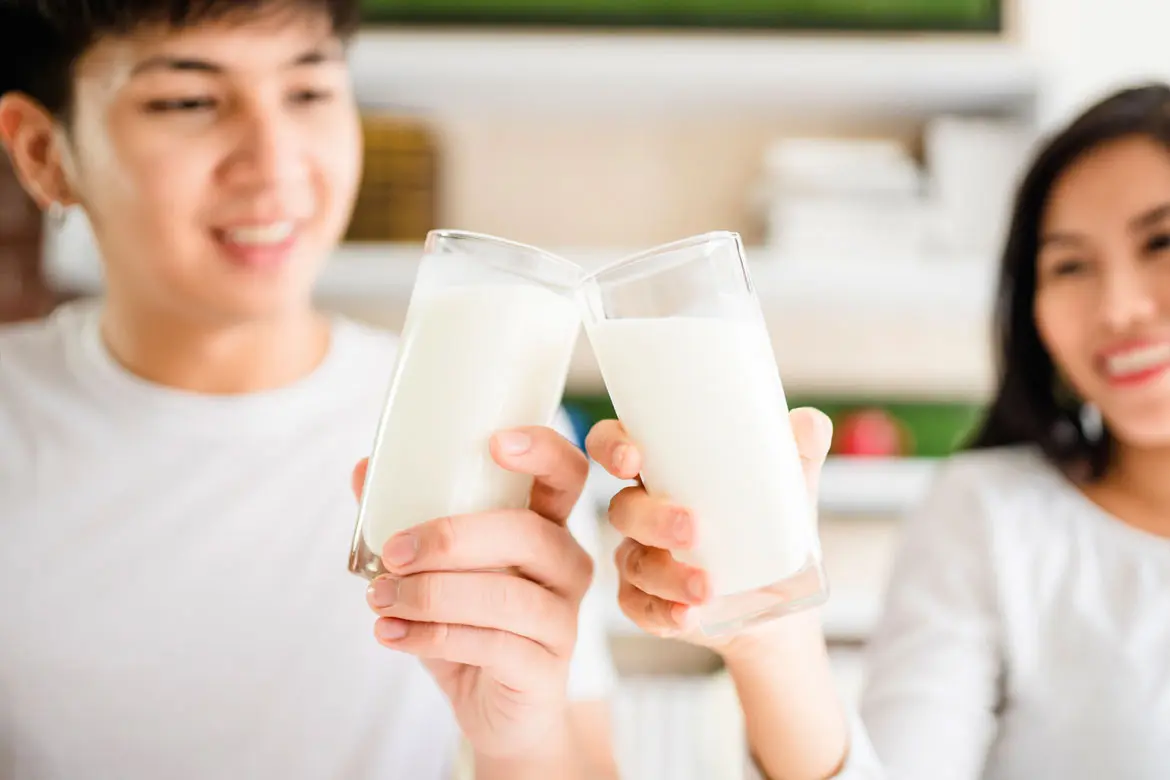 Dairy Alternatives for the Lactose Intolerant