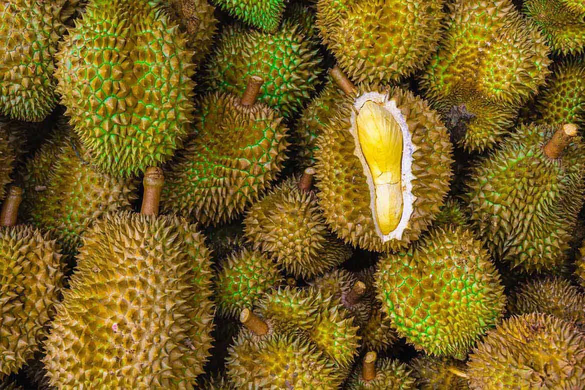 6 Nutritional Benefits of Durian