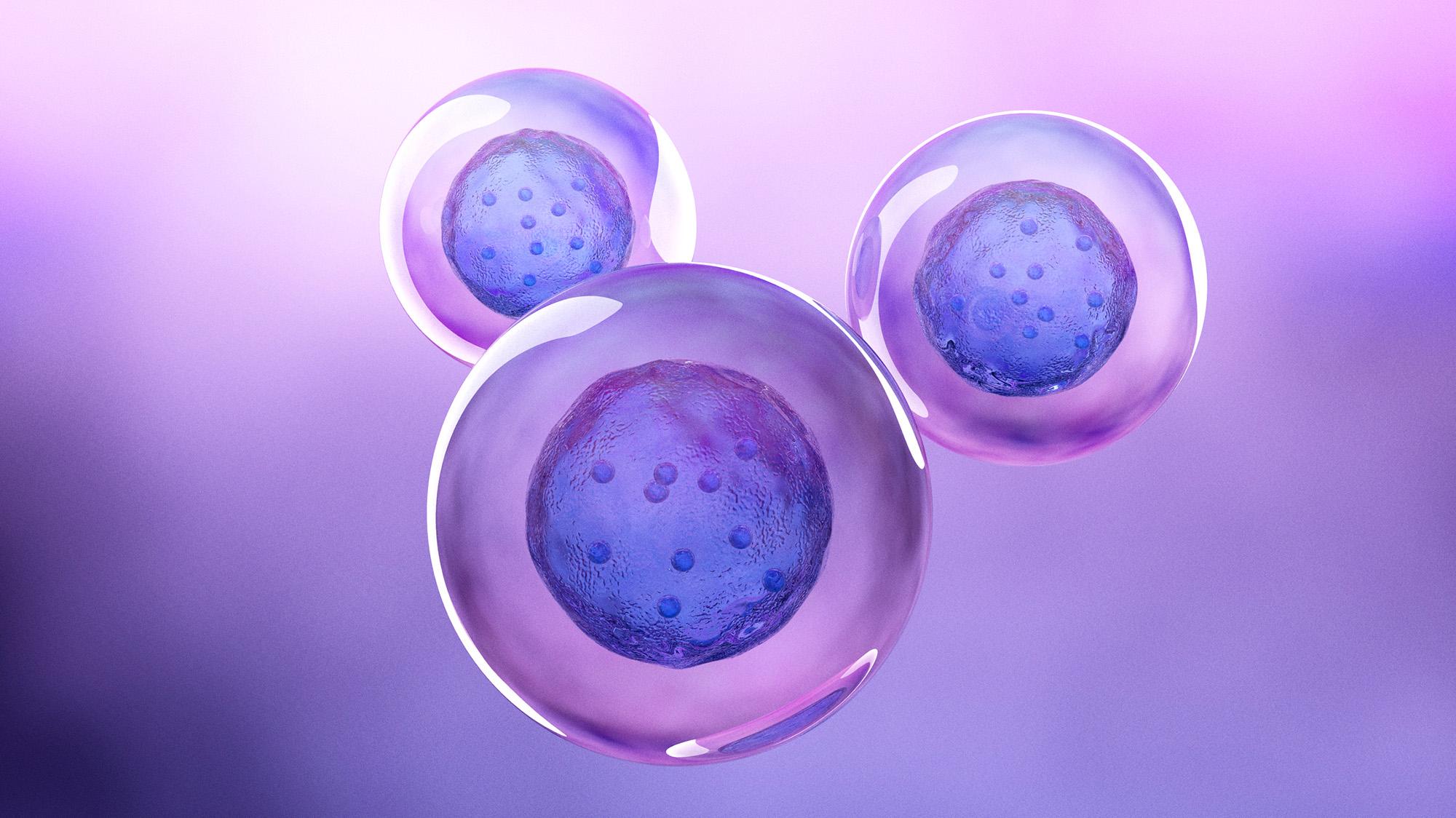 Ghép tế bào gốc