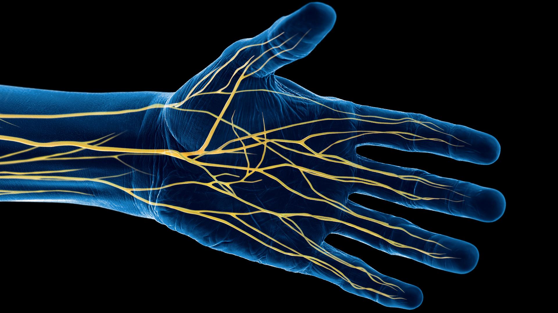Gangguan Saraf dan Otot