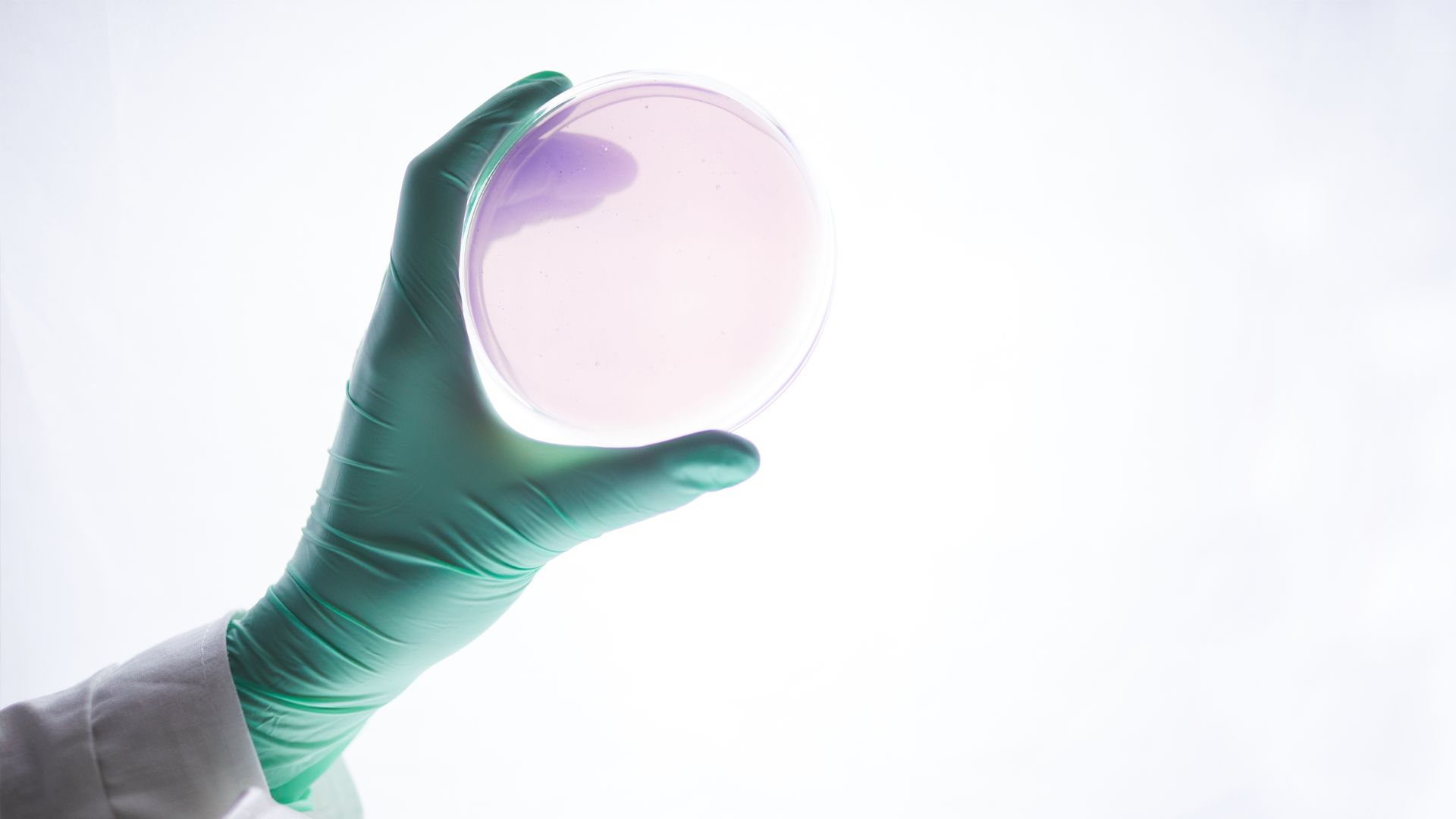 Mount Elizabeth Haematology & Stem Cell Transplant Centre