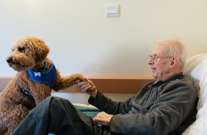 Dog with man at Bedford Court, Leeds