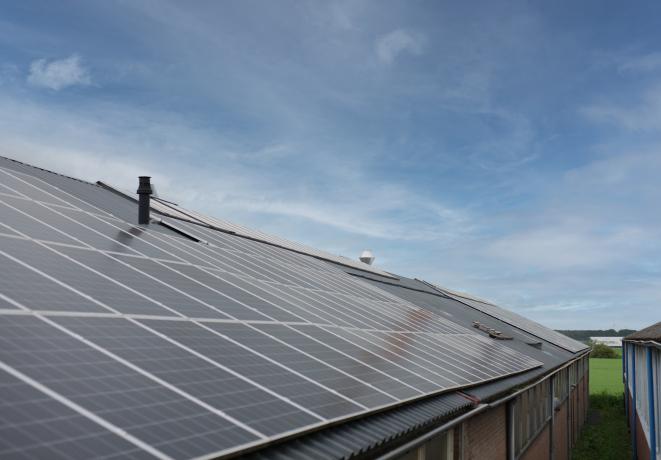 Zonnepanelen op de daken van Koffiebranderij De Amstel