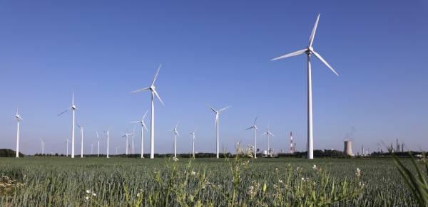 windpark-zebra-600x291