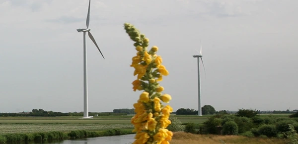 windpark-sabina-henrica