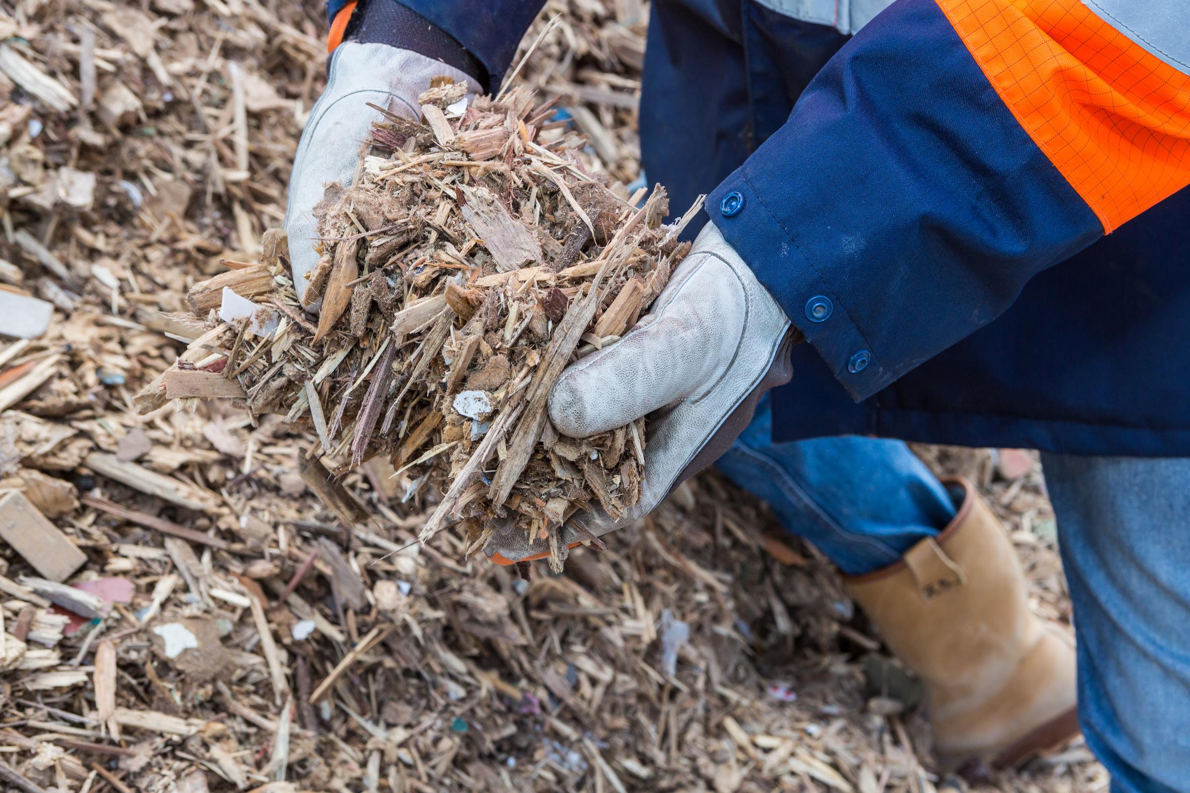 Bio Golden Raand biomass