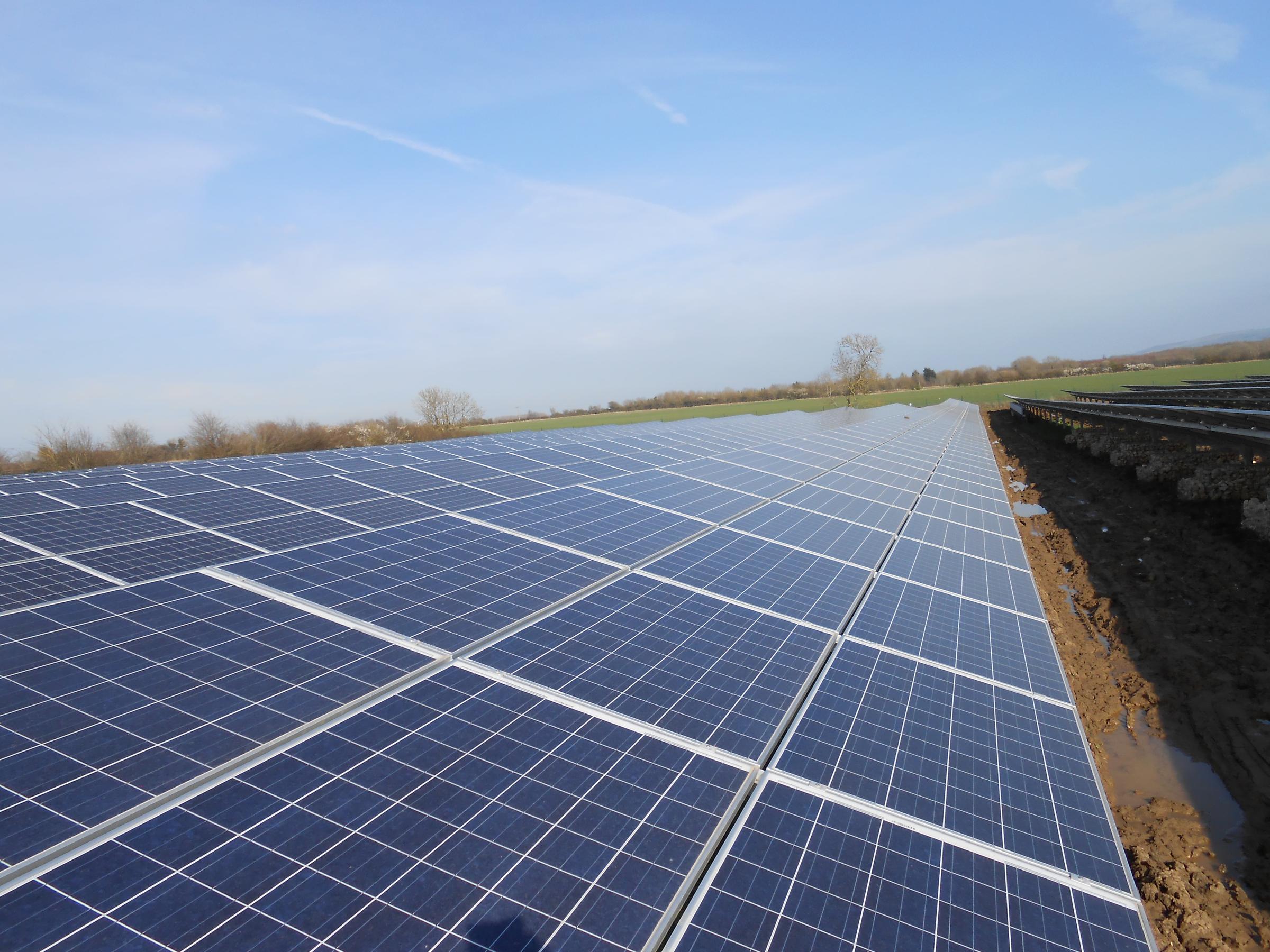 Zonnepark in Nederland met blauwe lucht