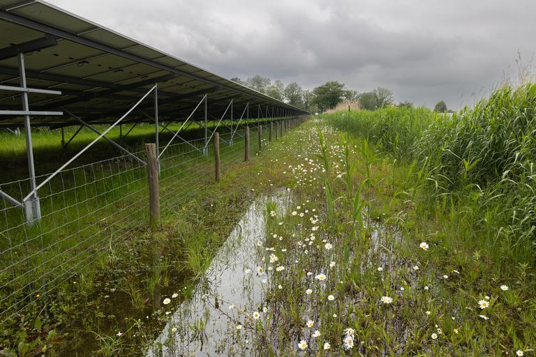Zonnepanelen park