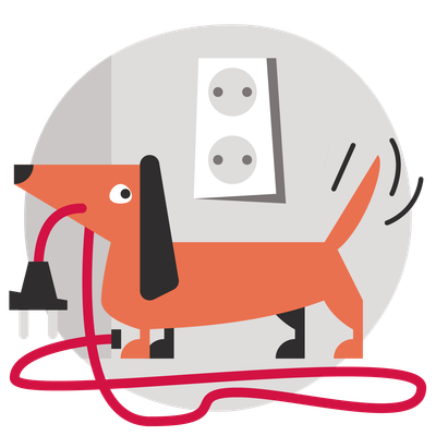 Dachshund