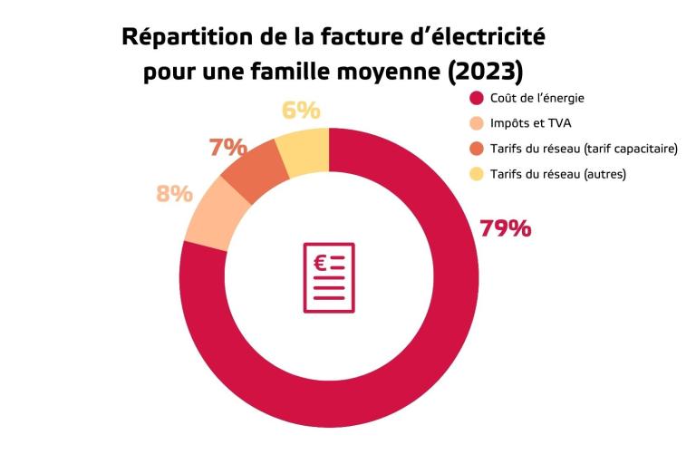 Un graphique montre la répartition d'une facture d'électricité : coût de l'énergie (79 %), taxes et TVA (8 %), tarif de capacité (7 %) et autres tarifs nets (6 %).