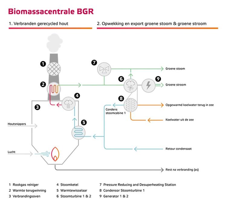 Hoe werkt biomassa?