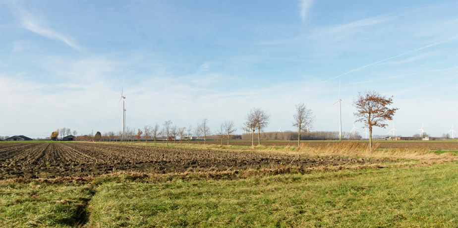 Windmolens in de zon