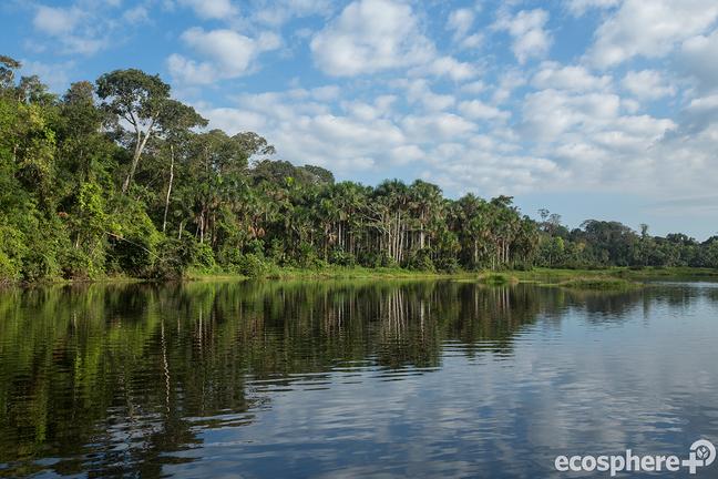 Tambopata-Bahuaja Biodiversiteitsreservaat