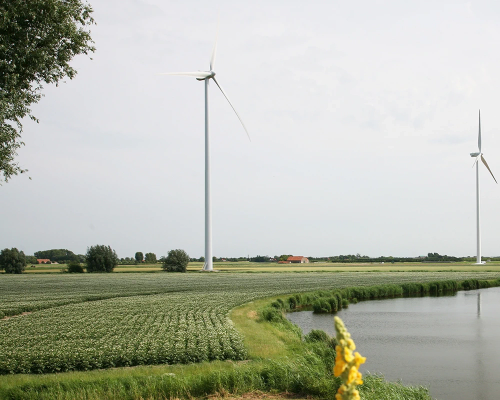 Windmolen in een weiland