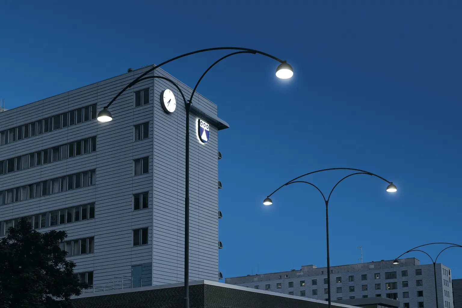 Victor Aesthetic Street Lantern by Thorn Lighting