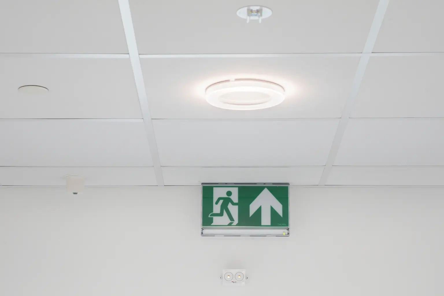 Un corridoio scolastico luminoso e moderno con pareti bianche, pavimenti semplici e dettagli in legno. Lo spazio è caratterizzato da pareti divisorie in vetro, doppie porte in legno e segnali luminosi per orientarsi facilmente.