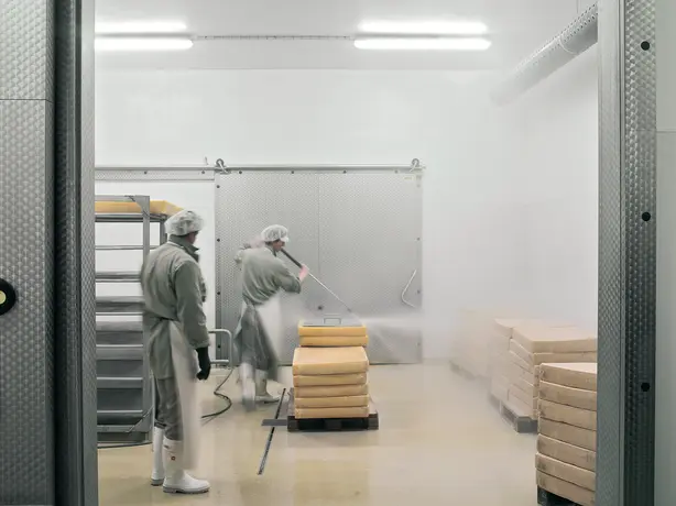 Food production exemplified here by cheese being cleaned by two workers. 