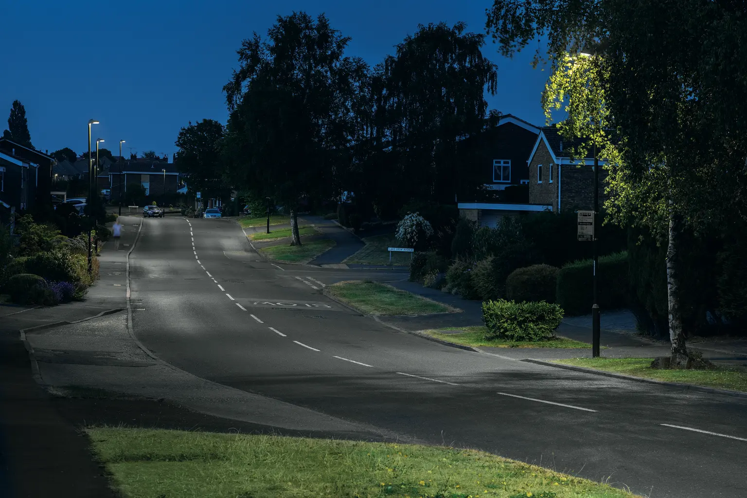 Una tranquilla strada di periferia di notte è illuminata da lampioni, con case e alberi che fiancheggiano entrambi i lati. La strada è vuota e la scena trasmette una sensazione di calma e tranquillità.