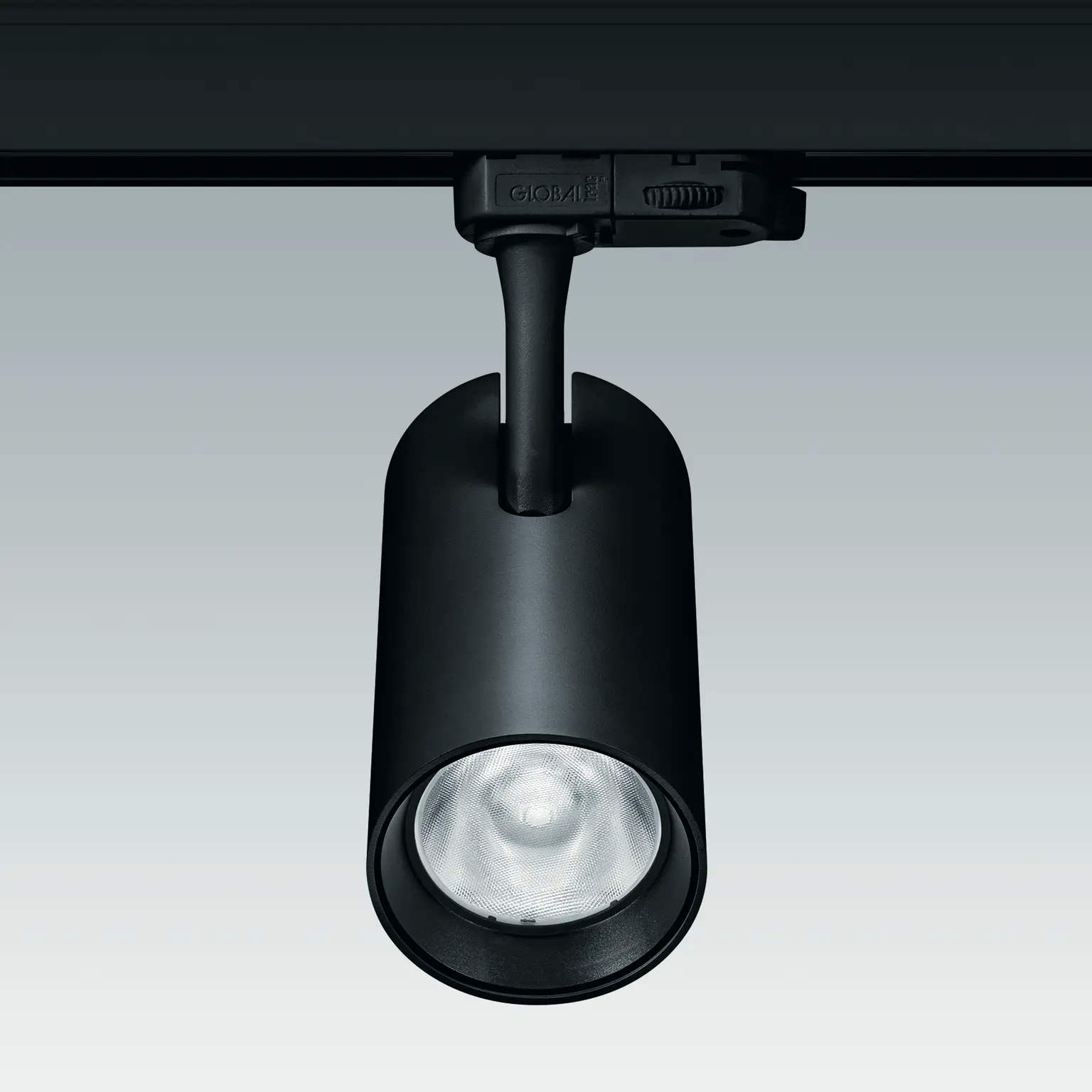 Vorderansicht von Luca auf einer Stromschiene