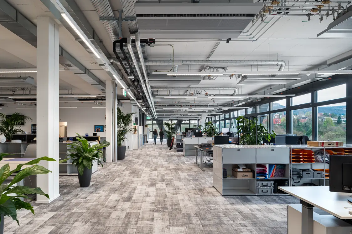 Großraumbüro mit modernen Arbeitsplätzen, großen Fensterfronten und linearen LED-Leuchten an der Decke. Begrünung und helle Gestaltung schaffen eine produktive und angenehme Arbeitsatmosphäre.