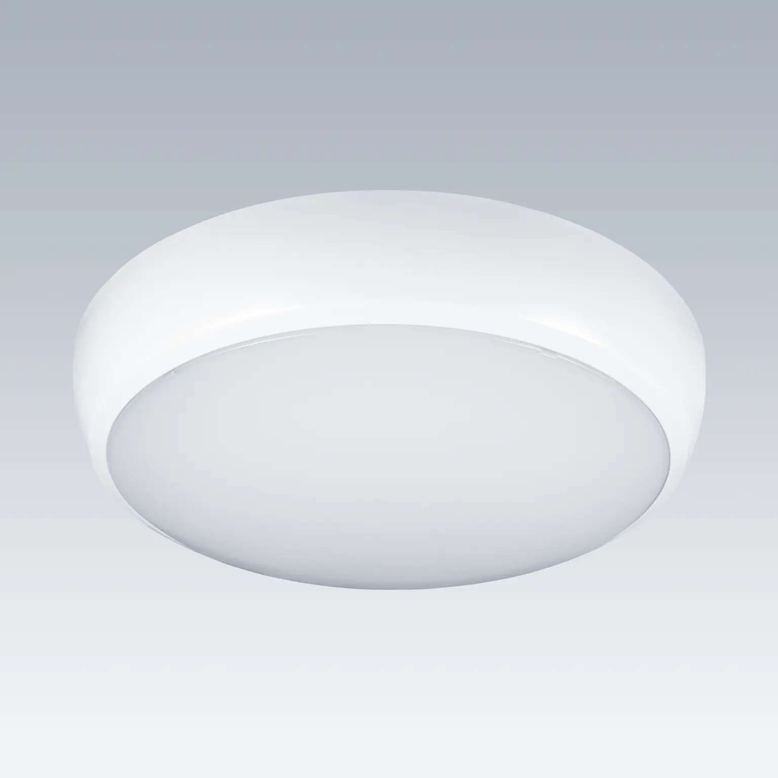 Front view of Toby outdoor wall luminaire