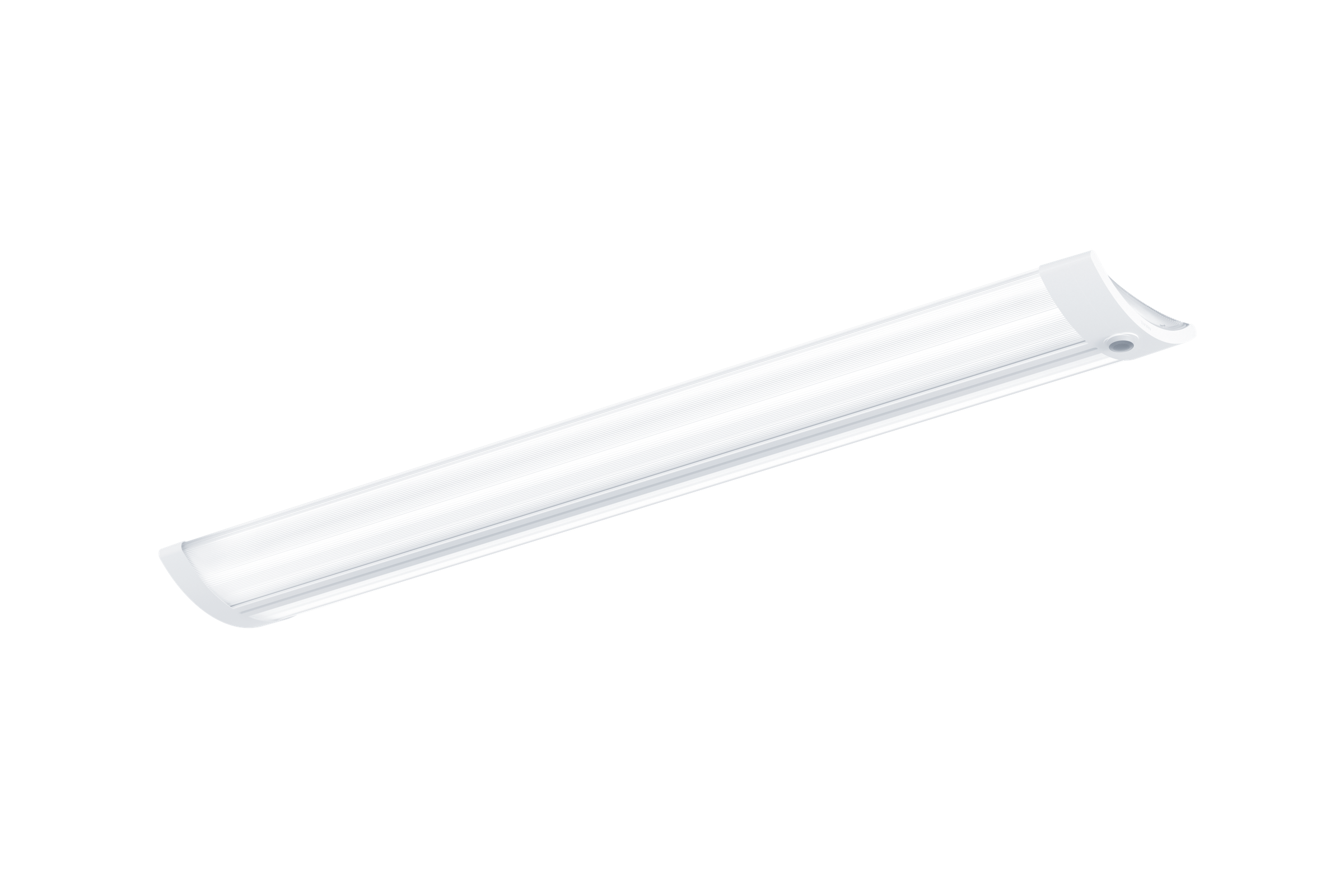 IQ Wave SP at Gibside School