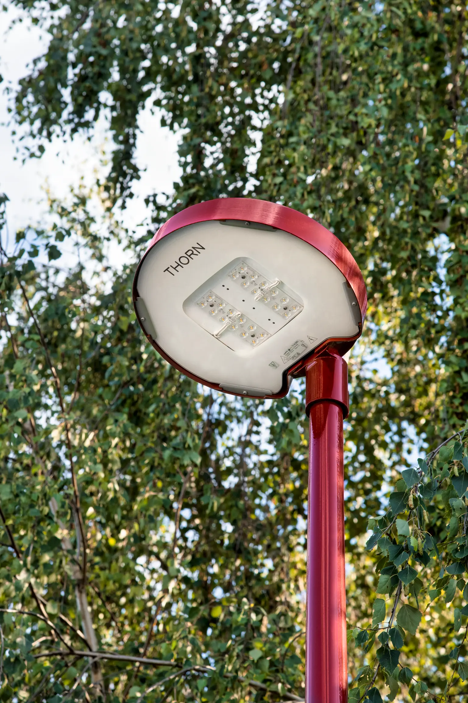 Armatura stradale estetica Carat di Thorn Lighting