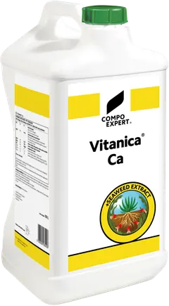 Vitanica Ca