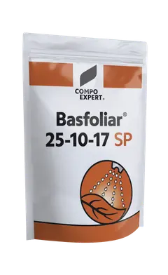 Basfoliar 25-10-17 SP