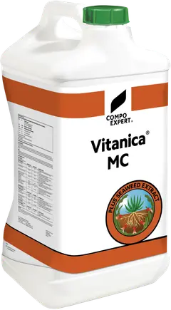 Vitanica MC