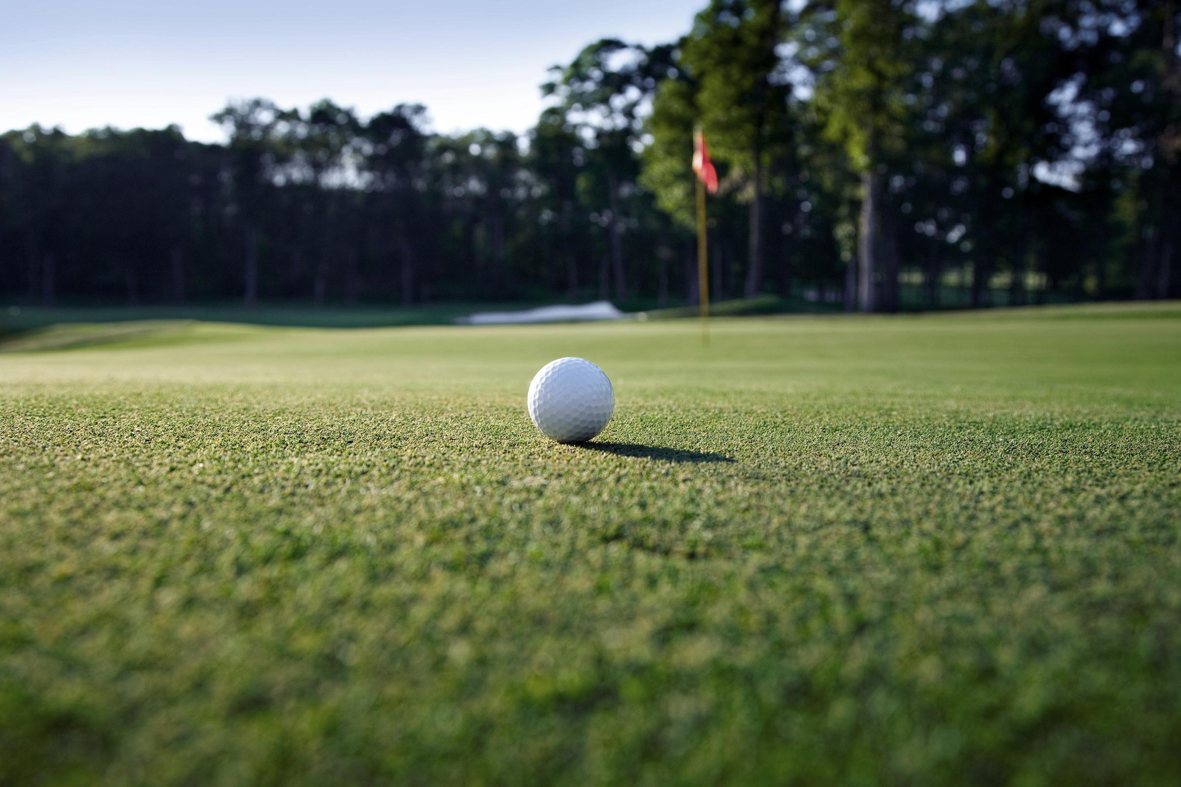 turf-public-green-golf-turf