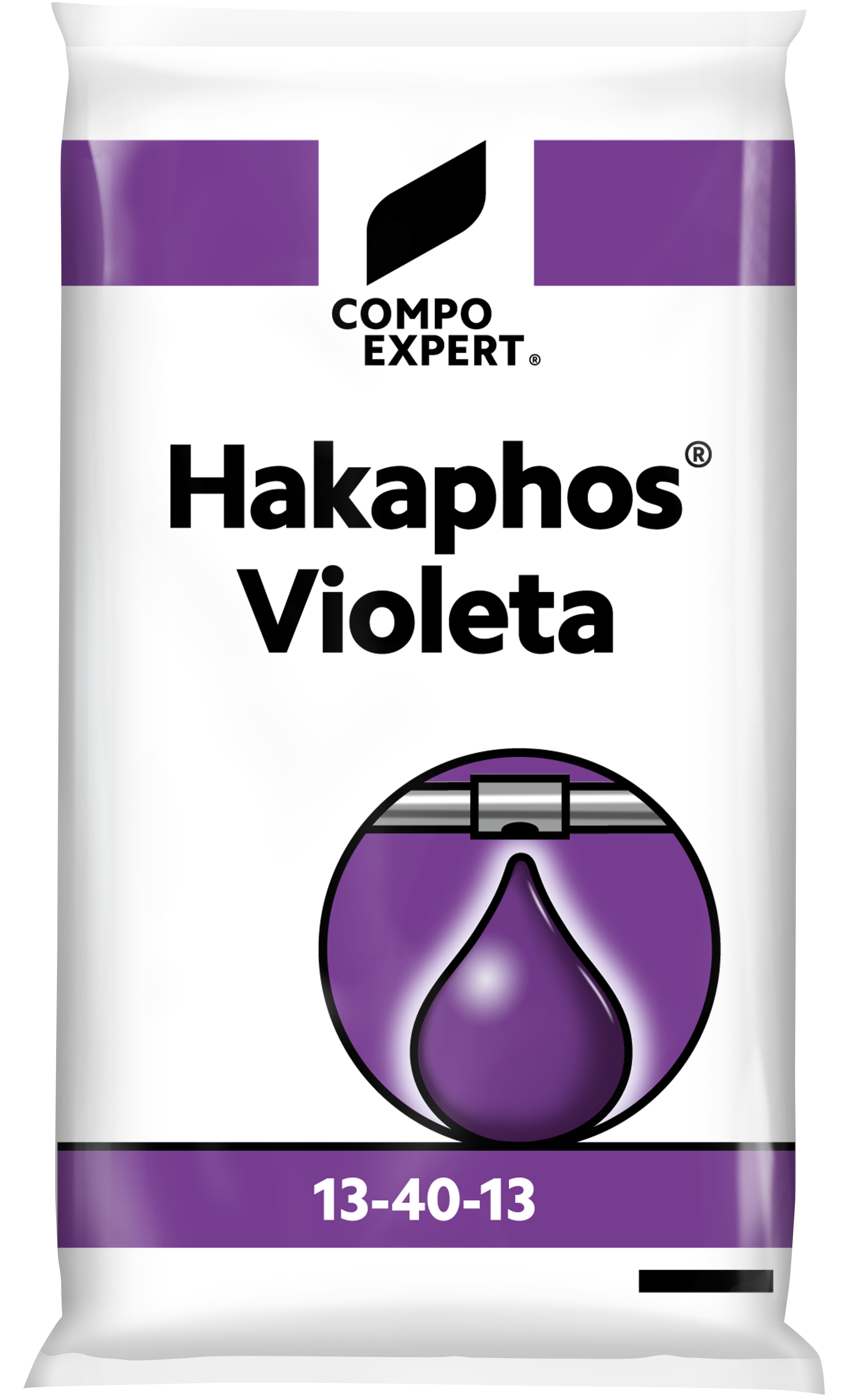 violeta 