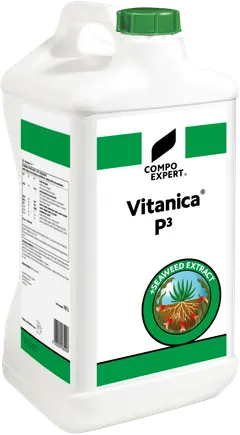 Vitanica P3