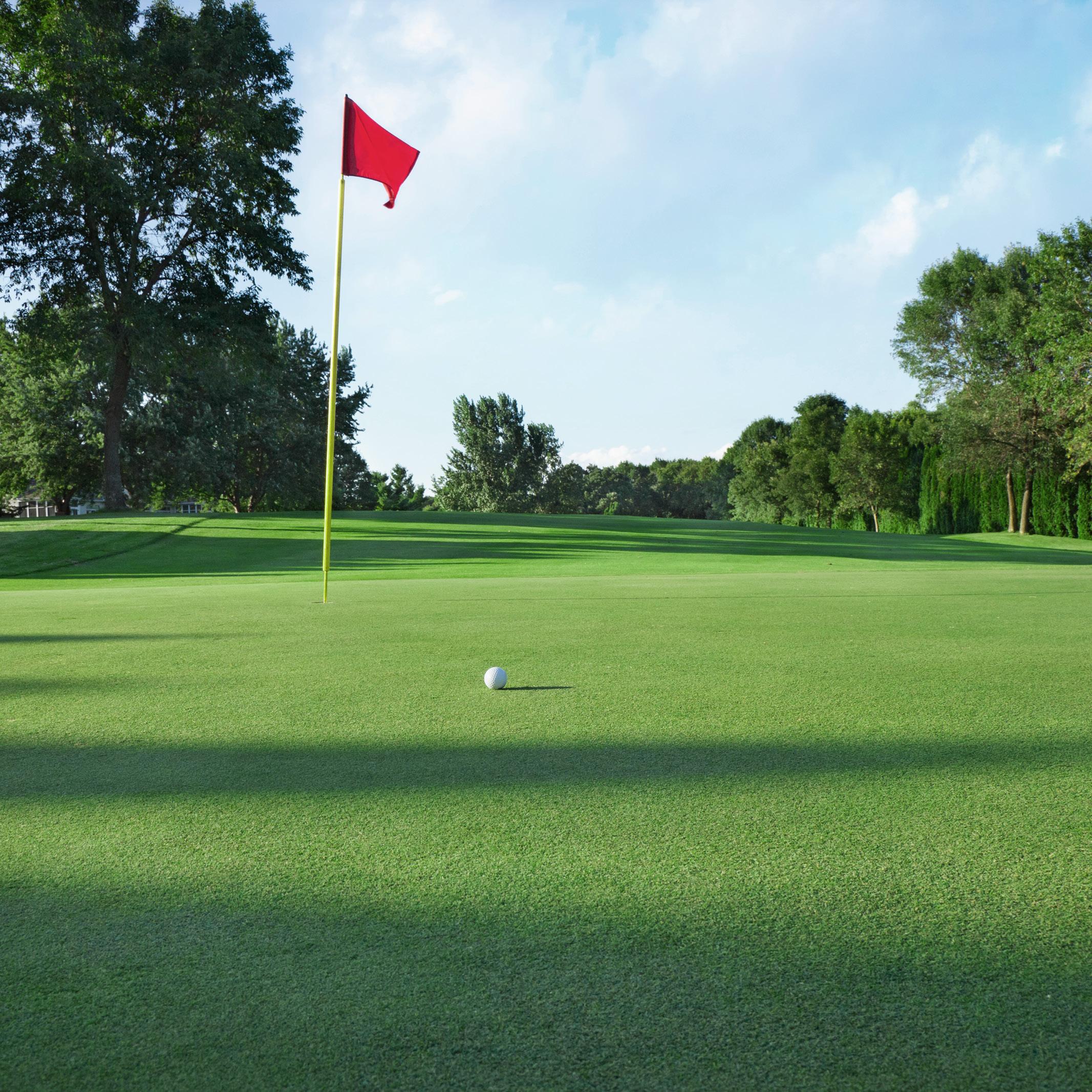 turf-public-green-golf green
