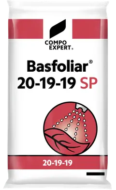 Basfoliar 20-19-19 SP