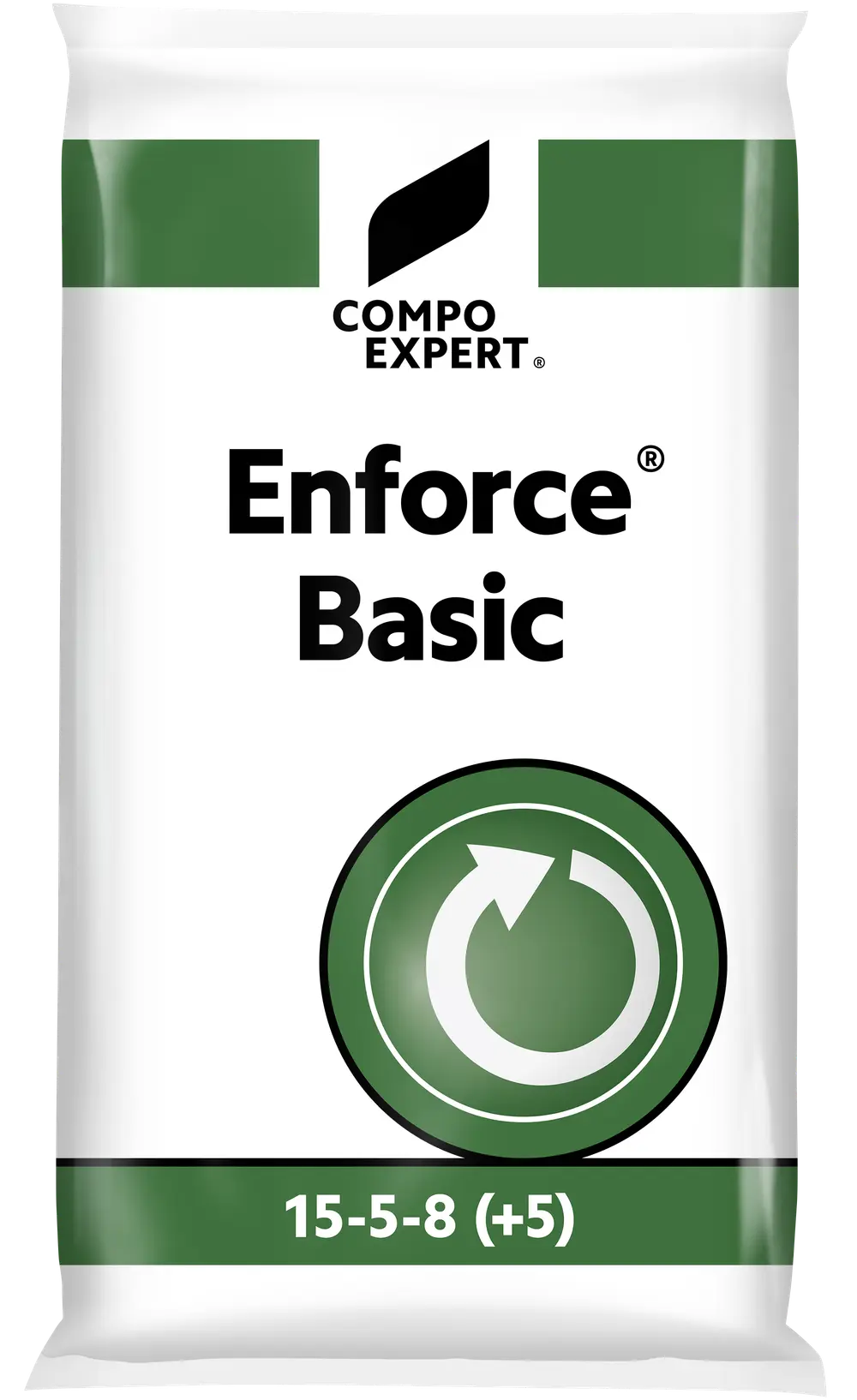 Enforce Basic (ib) 15-5-8