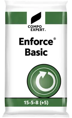 Enforce Basic (ib) 15-5-8