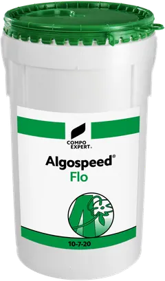 Algospeed Flo 10-7-20