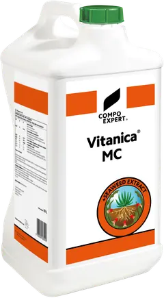 Vitanica MC
