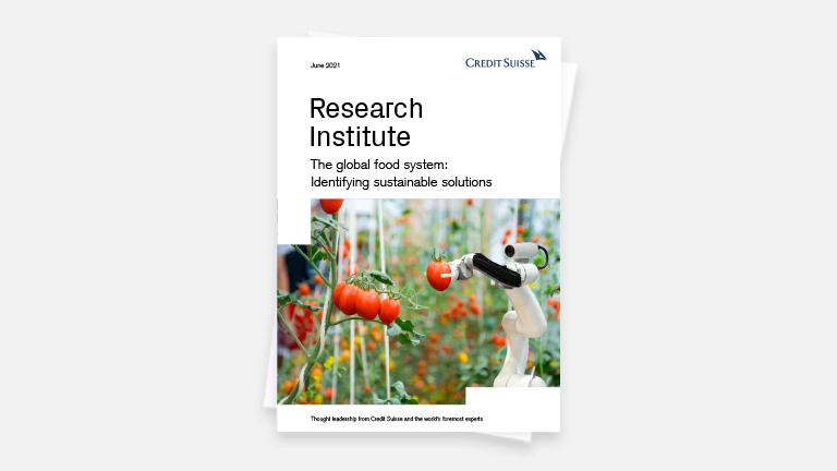 img-report-research-institute-the-global-food-system