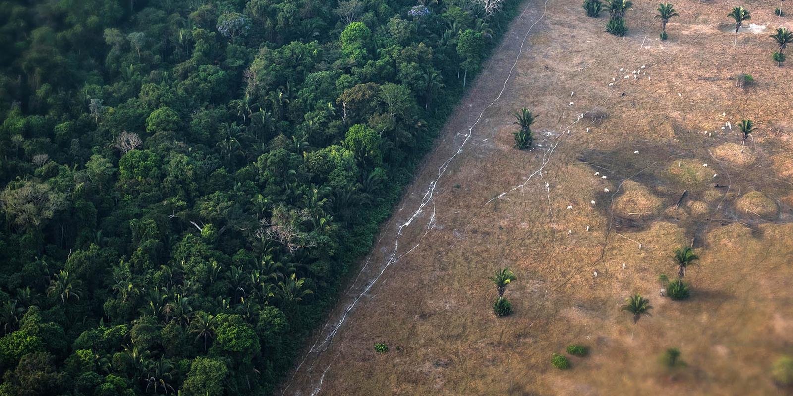 deforestation-and-climate-change