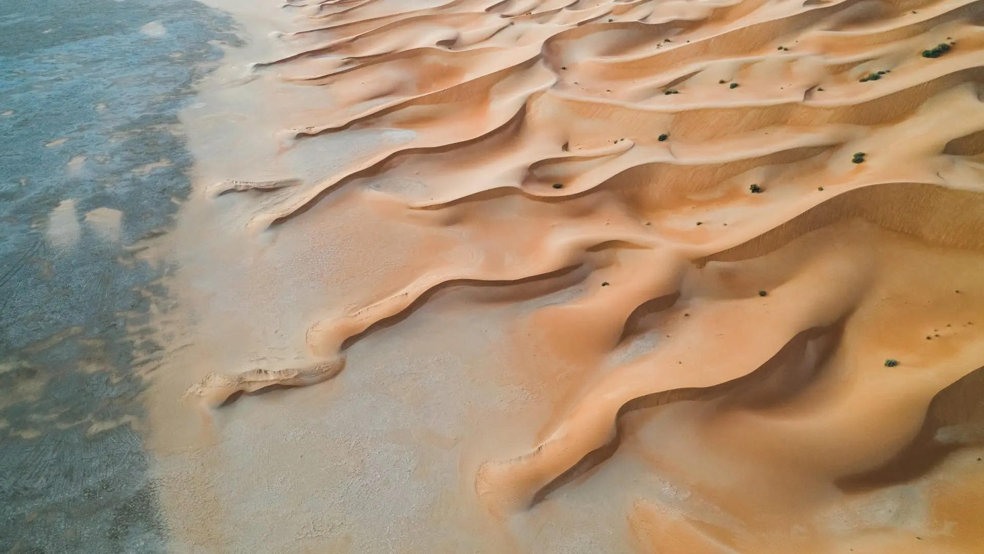 Aerial view of a desert landscape with undulating sand dunes and sparse vegetation in United Arab Emirates.