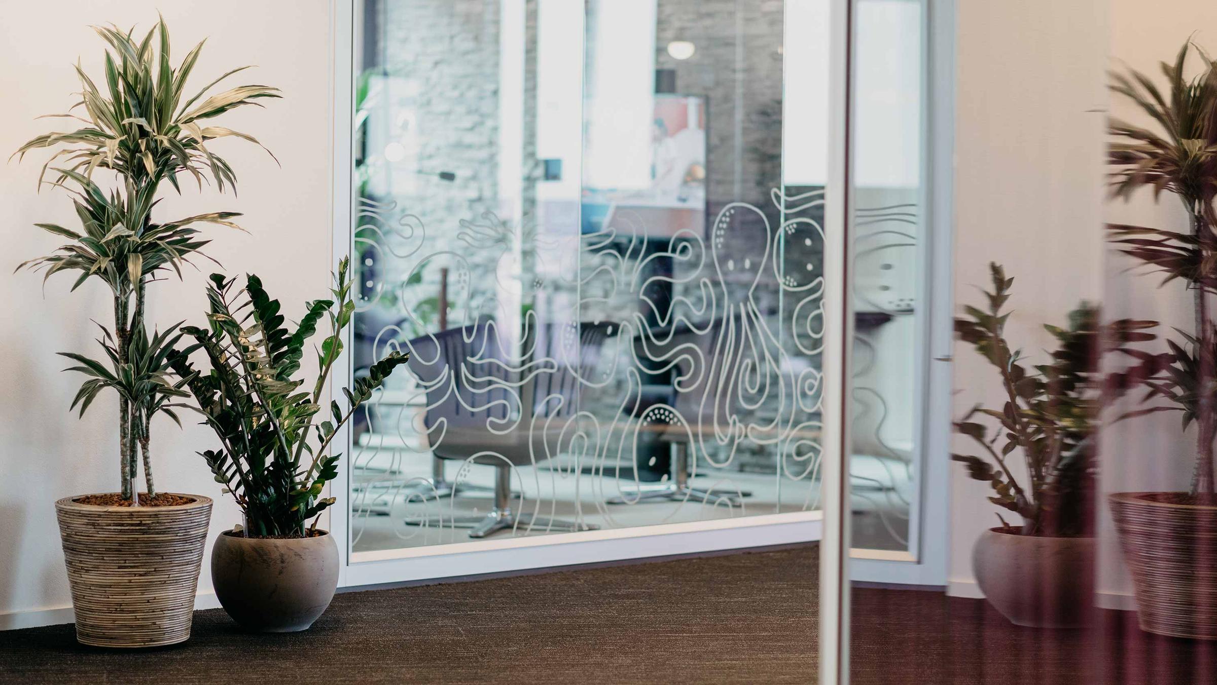 Office interior with transparent glass walls featuring abstract designs and potted plants.
