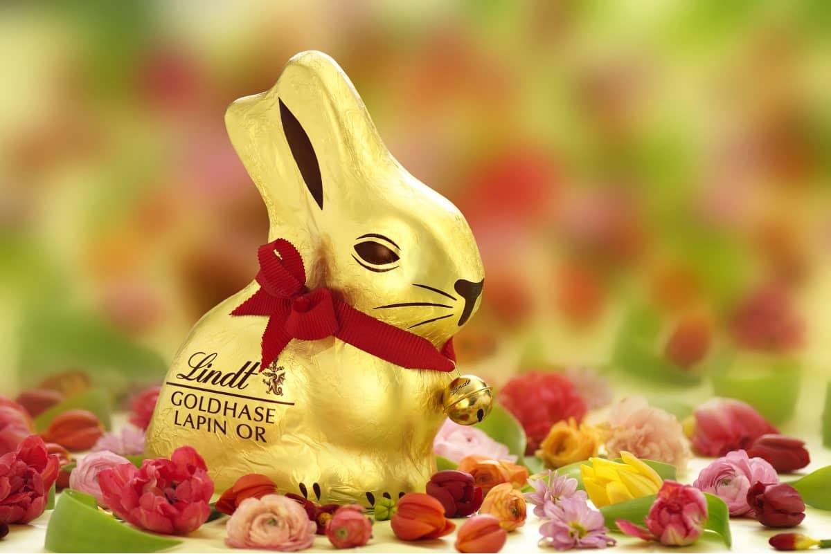 Lindt Chocolate Bunny