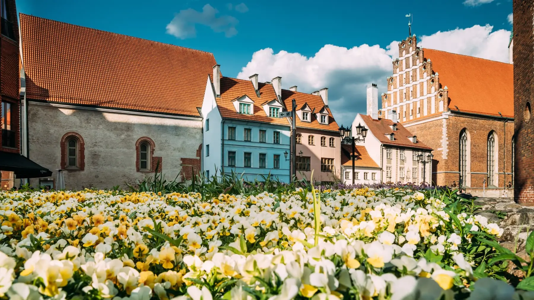 Colorful flowerbed in a quaint Latvian town with traditional architecture under a clear blue sky.
