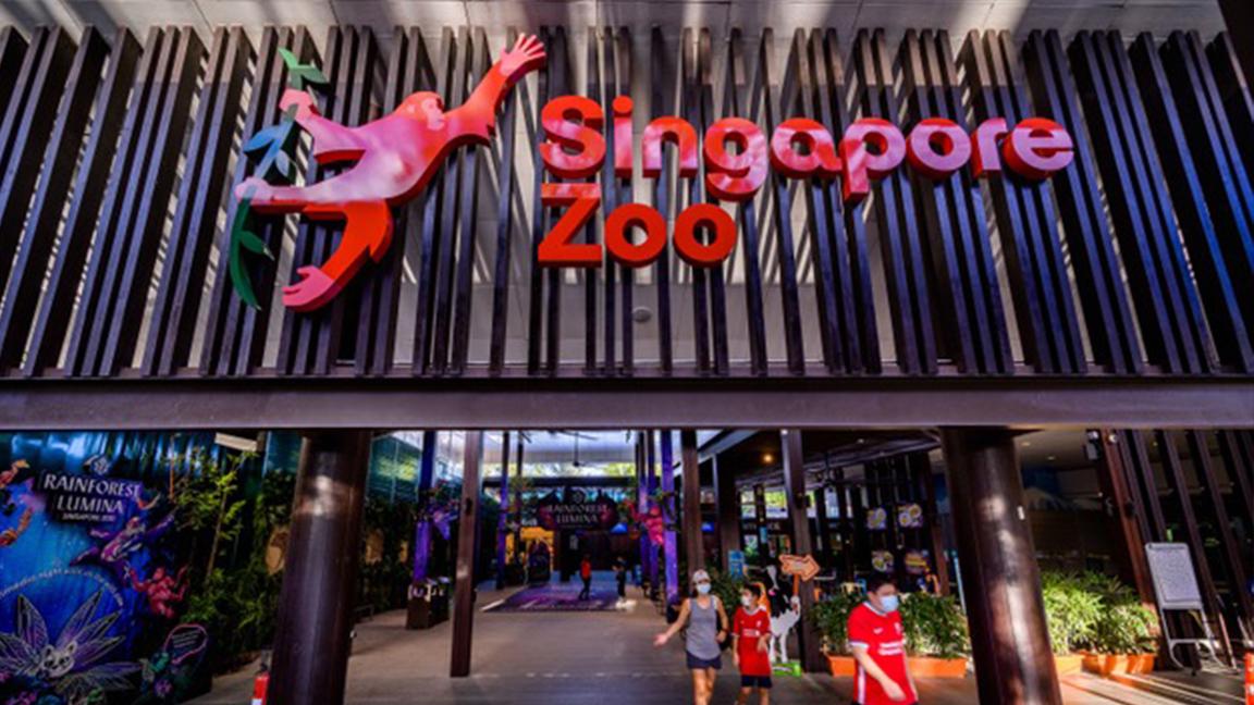 Entrance of Singapore Zoo with a colorful monkey sculpture above the sign at night.