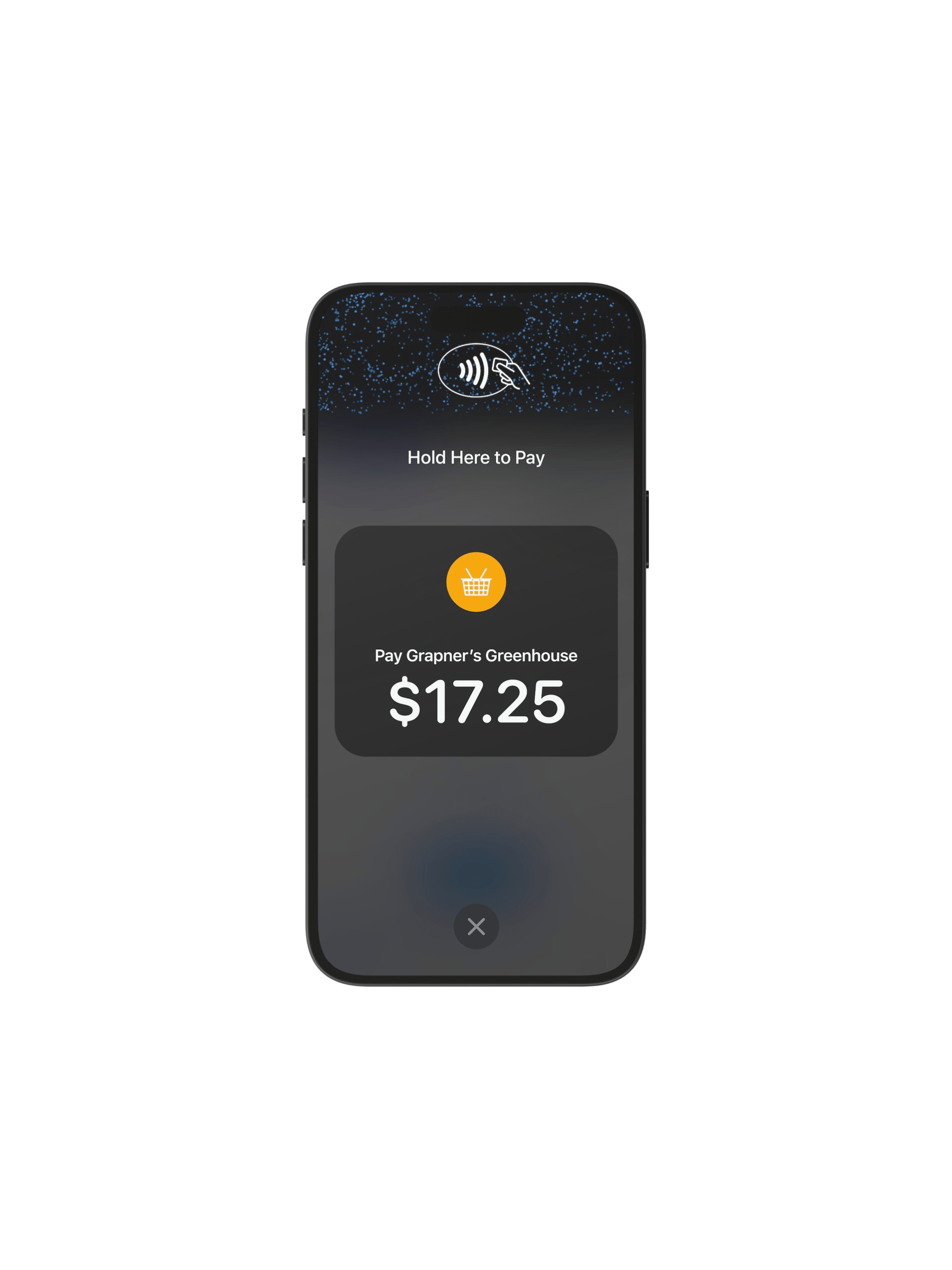 Tap to Pay on iPhone