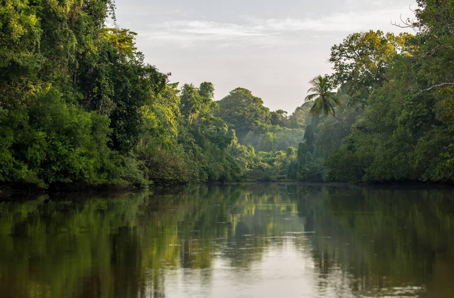 Double donations for the planet this Earth Month with Giving